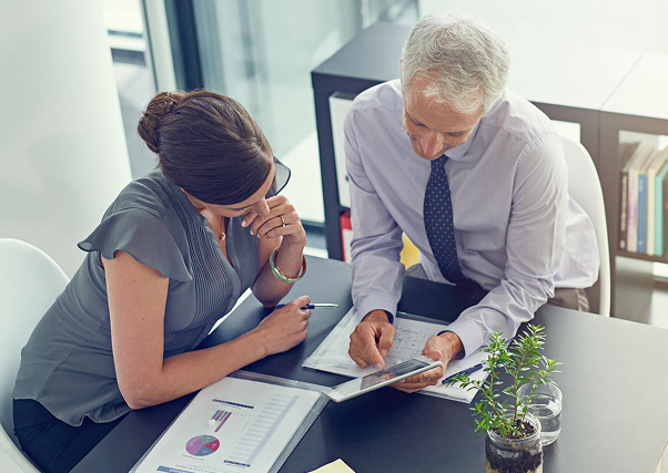 best rollover advisors